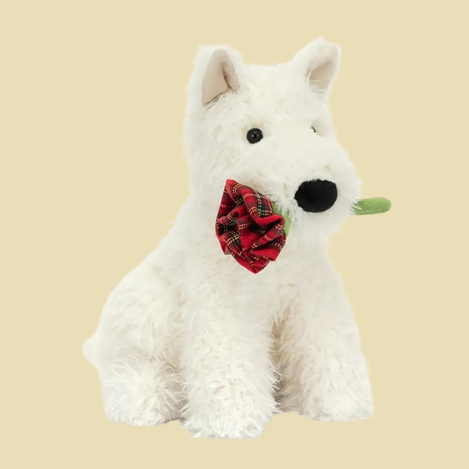 Munro Scottie Valentines Rose 1